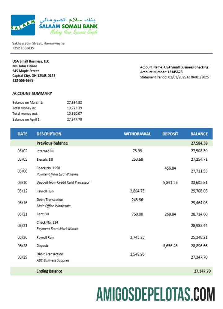 Imprimível Somali Salaam Somali Bank Business Checking Account Statement Word And PDF model